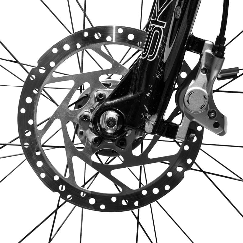 Best Clipping Path Service Company - GraphicXer 27 Clipping Path