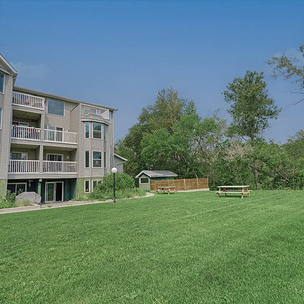 Sky Replacement Service