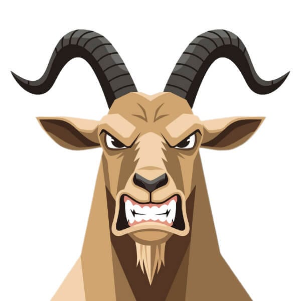 Affordable Vectorization Service