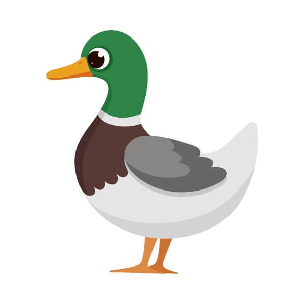 Vector File Conversion Service